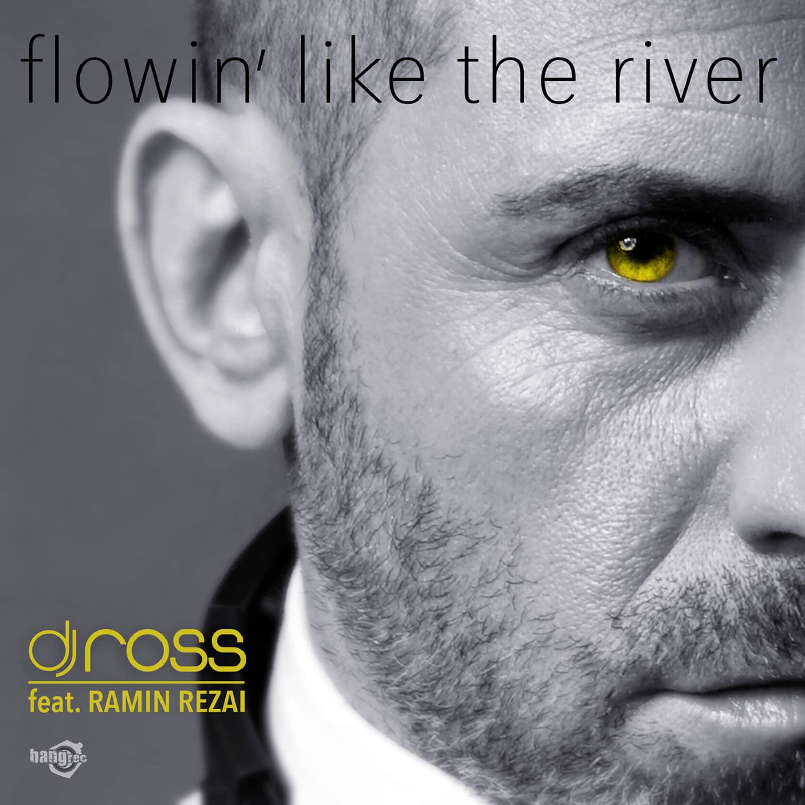 Dj Ross feat. Ramin Rezai — Flowin Like The River (Radio Edit)